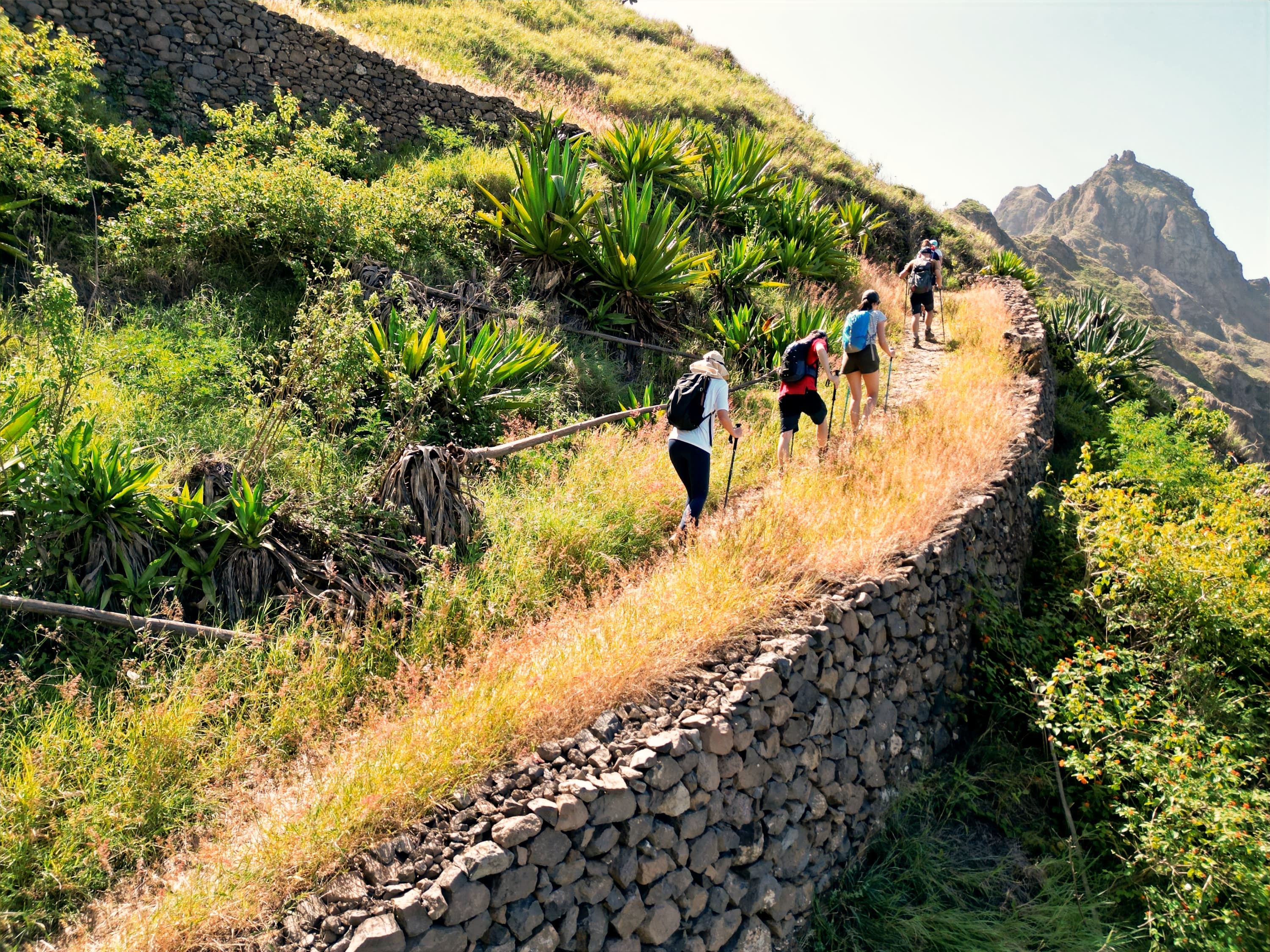 Randonneur sur les crêtes verdoyantes de Santo Antão, Cap-Vert